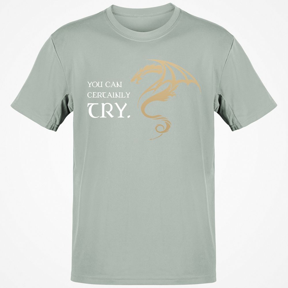 You Can Certainly Try T-Shirt - Ash - 2
