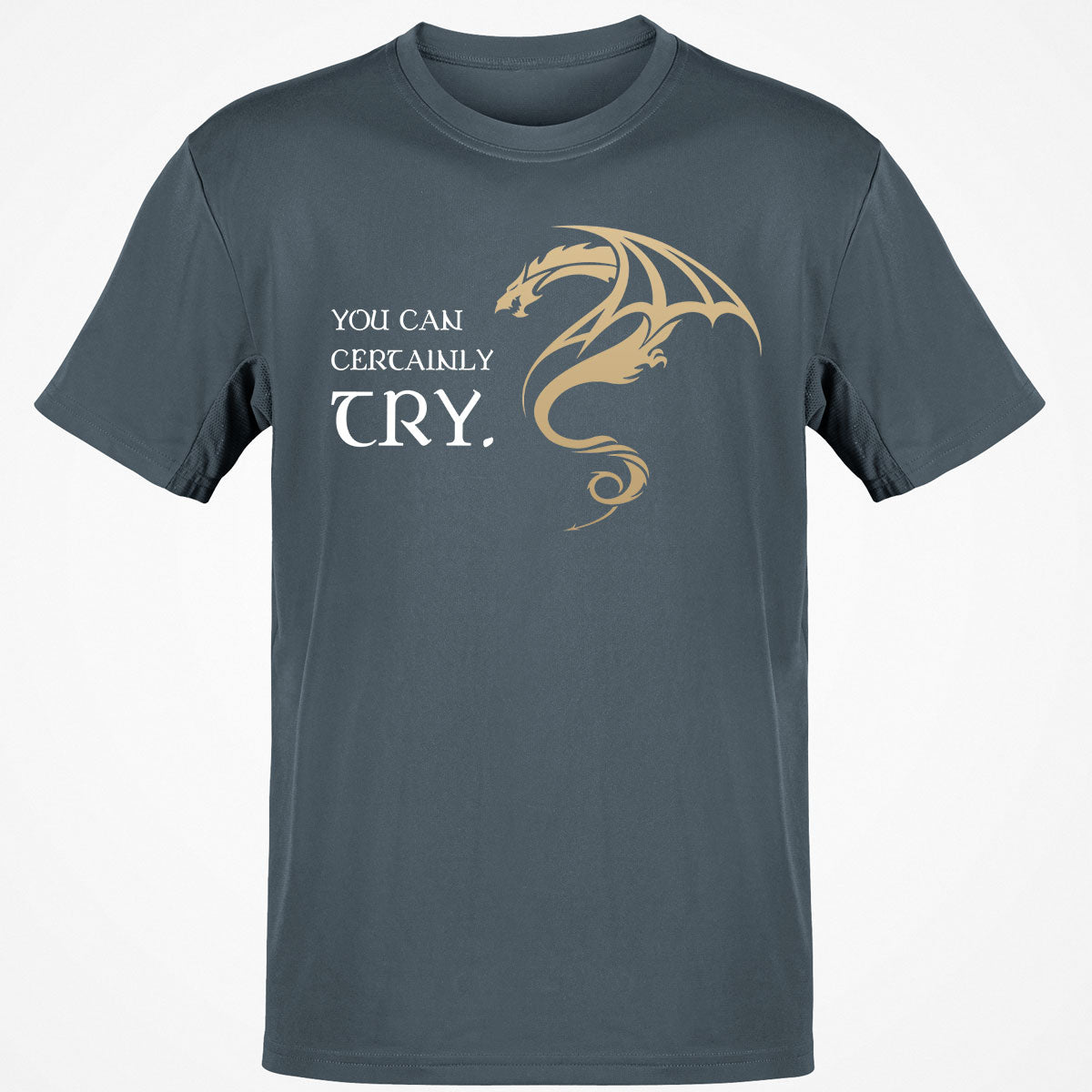 You Can Certainly Try T-Shirt