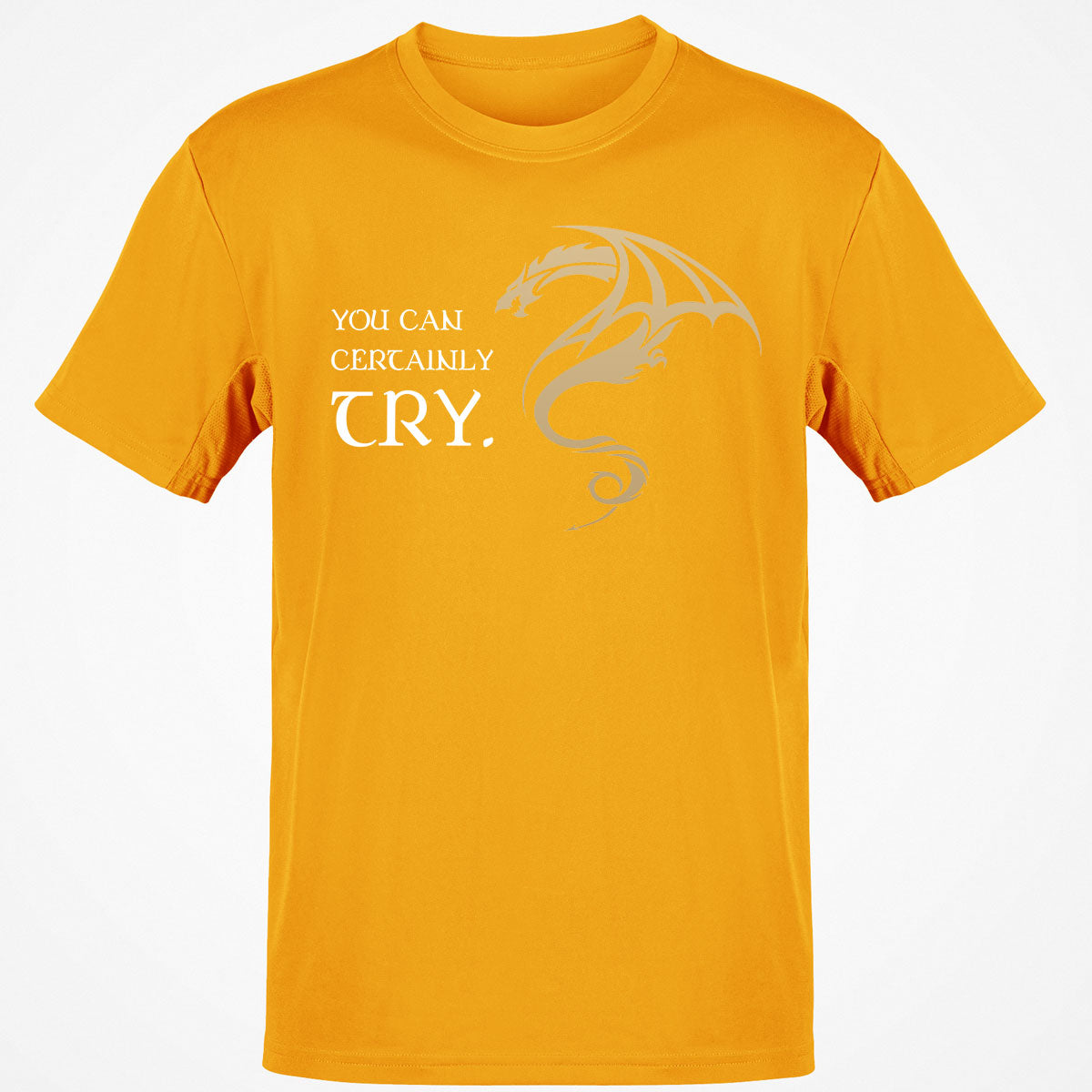 You Can Certainly Try T-Shirt