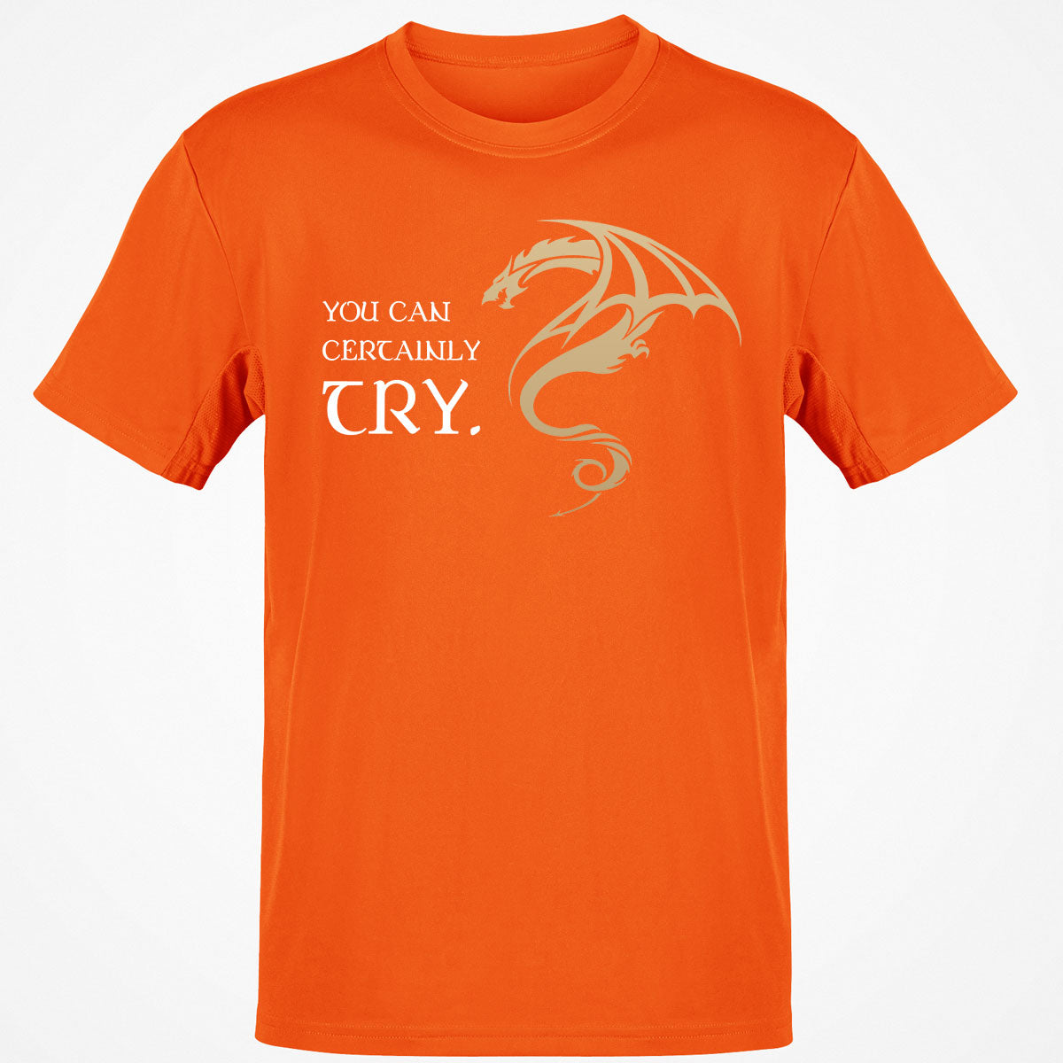 You Can Certainly Try T-Shirt