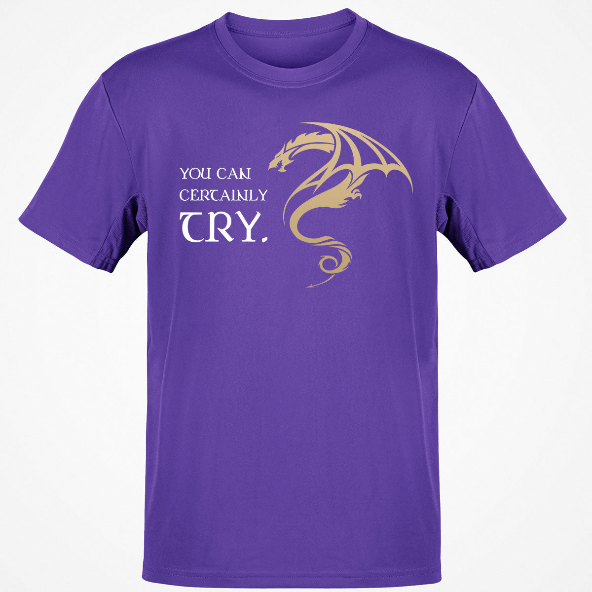 You Can Certainly Try T-Shirt