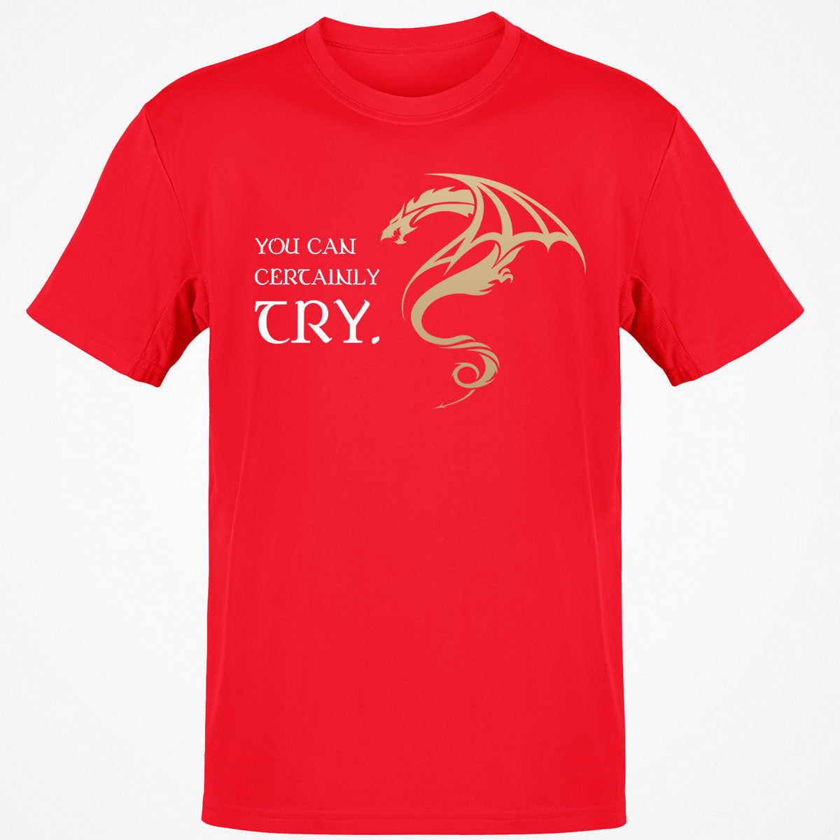 You Can Certainly Try T-Shirt
