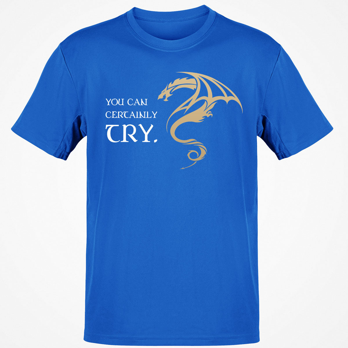You Can Certainly Try T-Shirt