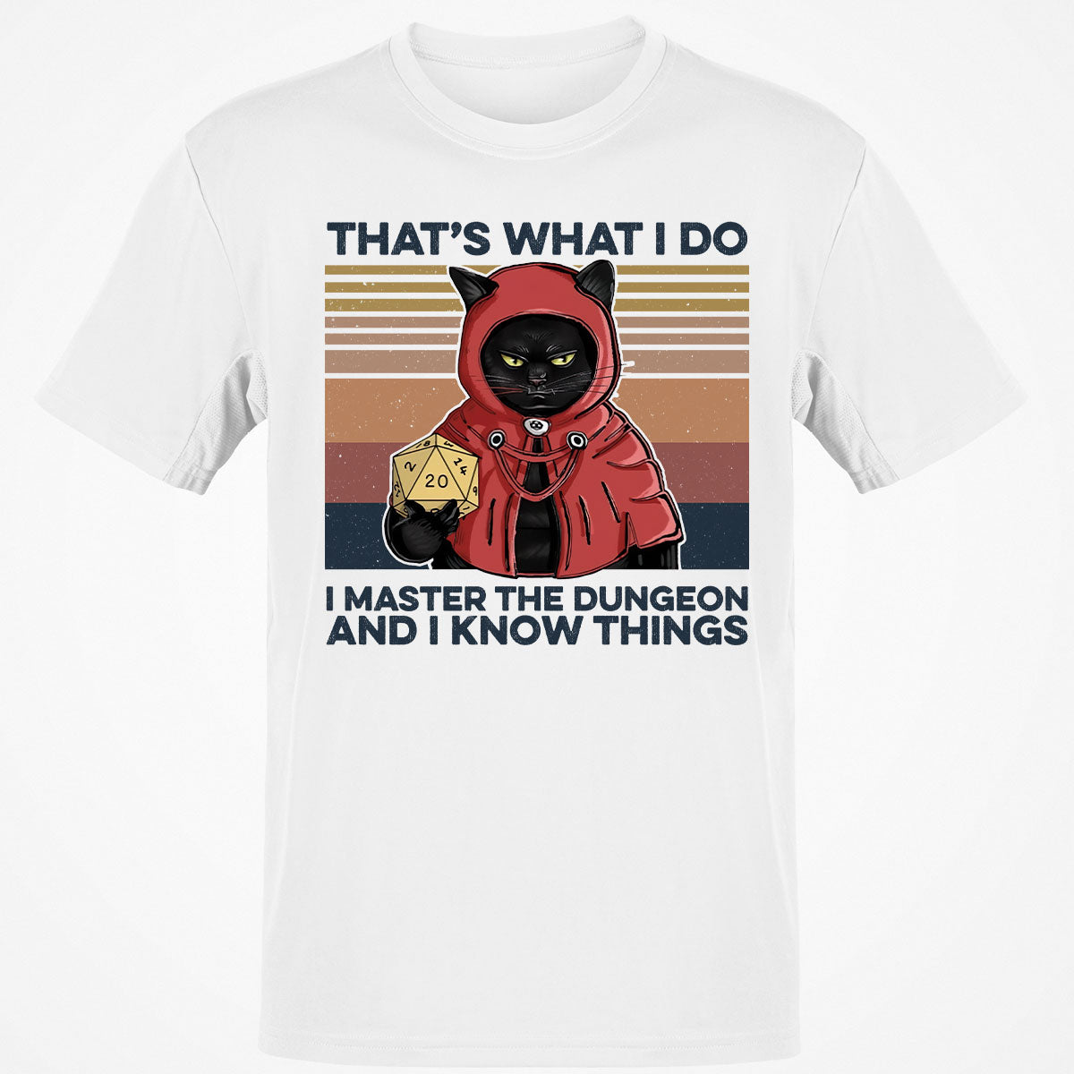 I Master The Dungeons T-Shirt