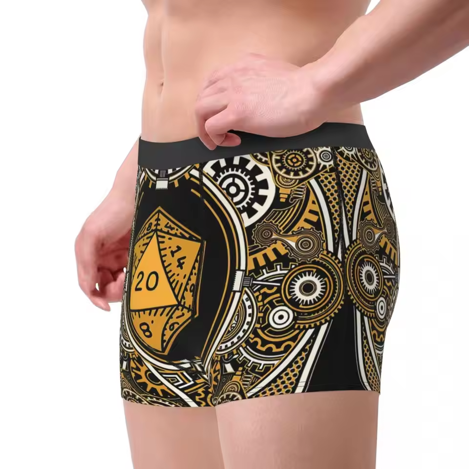 D20 Steampunk Gear Underwear Men's Boxer Briefs