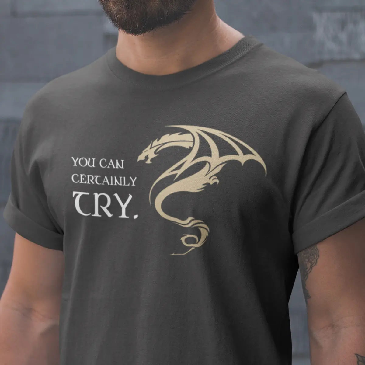 You Can Certainly Try T-Shirt