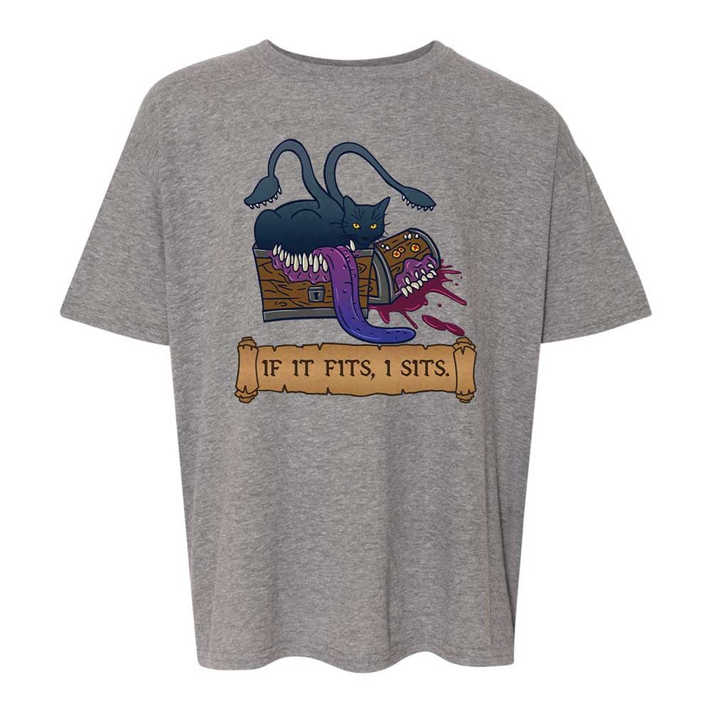 If It Fits I Sits Kids T-Shirt - Graphite Heather - 18