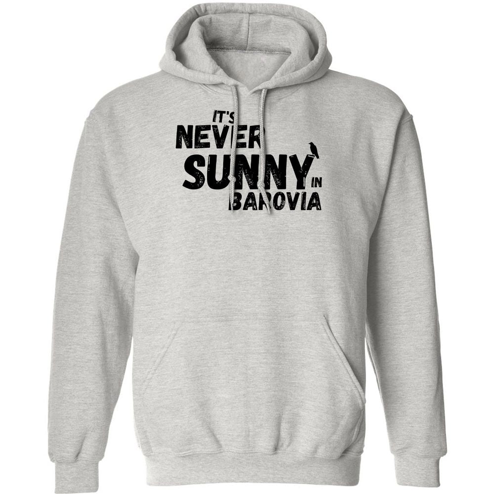 It's Never Sunny In Barovia Classic Unisex Hoodie - Ash - 2