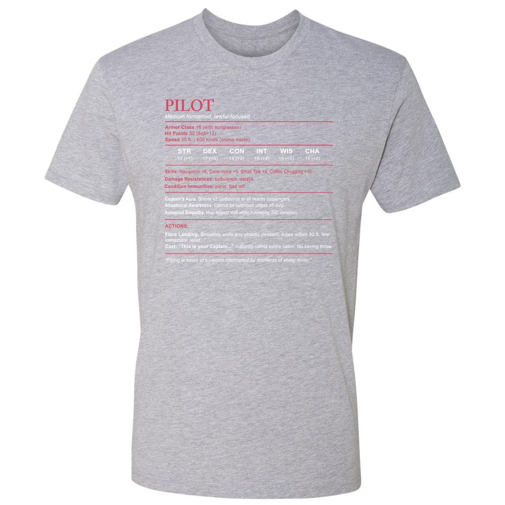 Pilot Stats Premium Unisex T-Shirt - Heather Grey - 9