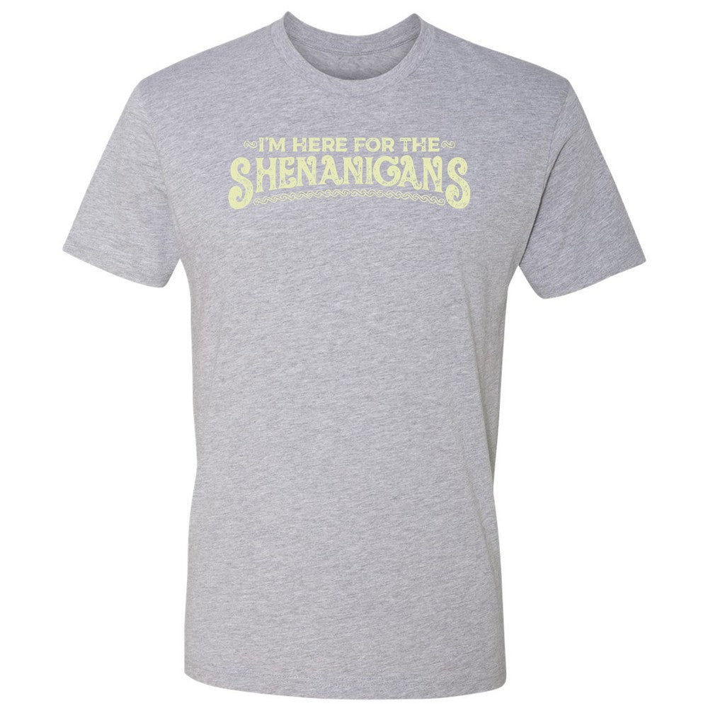 Here For The Shenanigans Premium Unisex T-Shirt - Heather Grey - 9