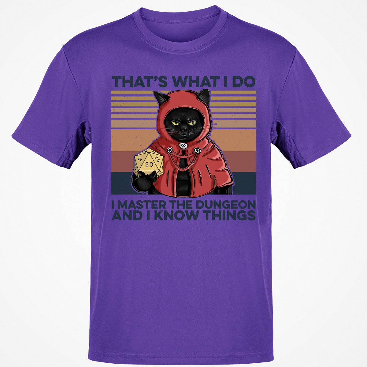 I Master The Dungeons T-Shirt