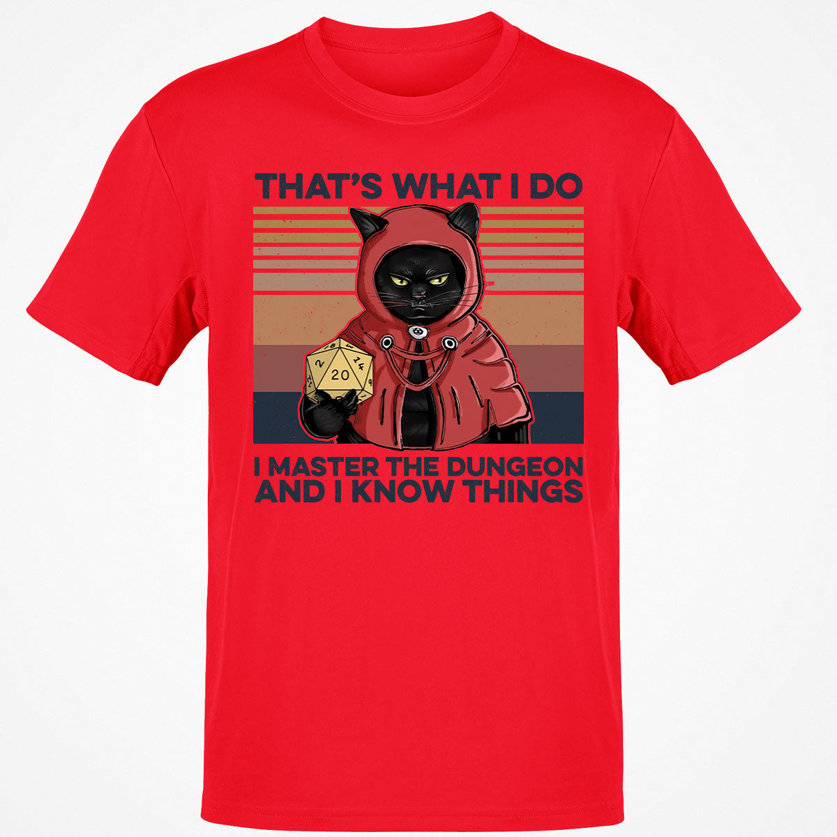 I Master The Dungeons T-Shirt